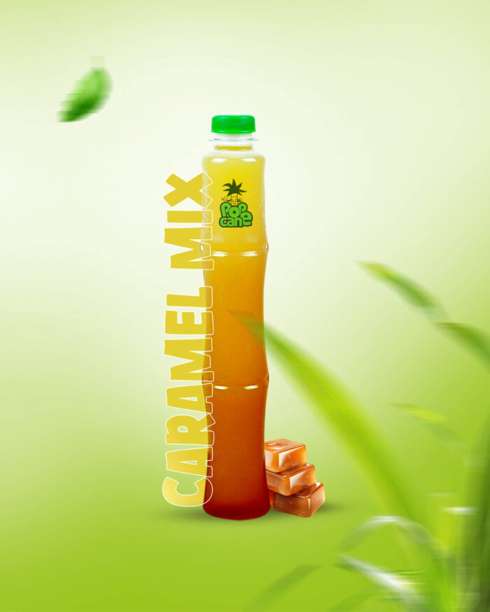 POP-CANE-ceramal--MIX-resize[1]
