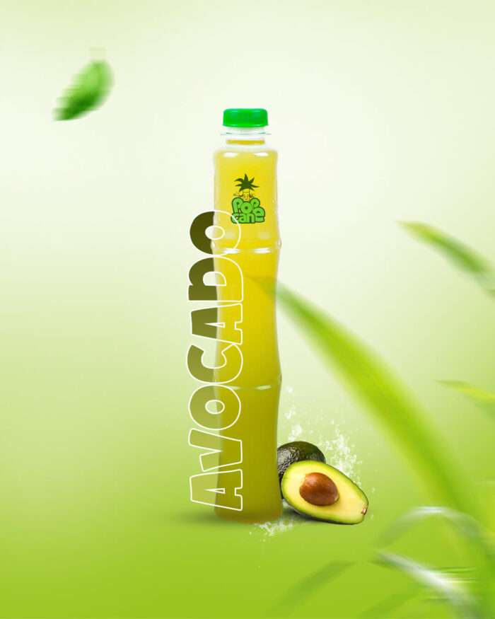 avacado[1]