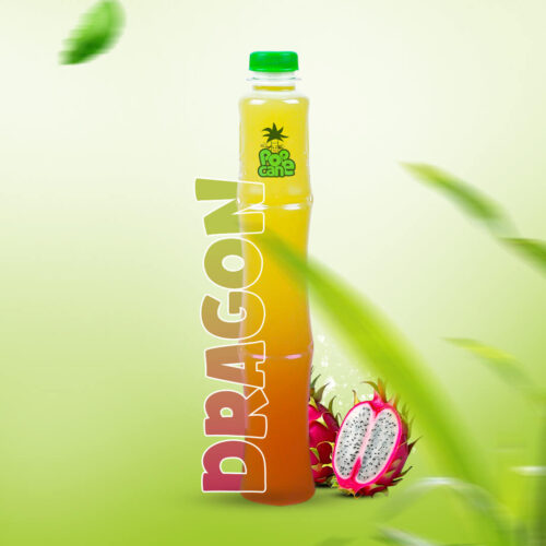 dragon[1]