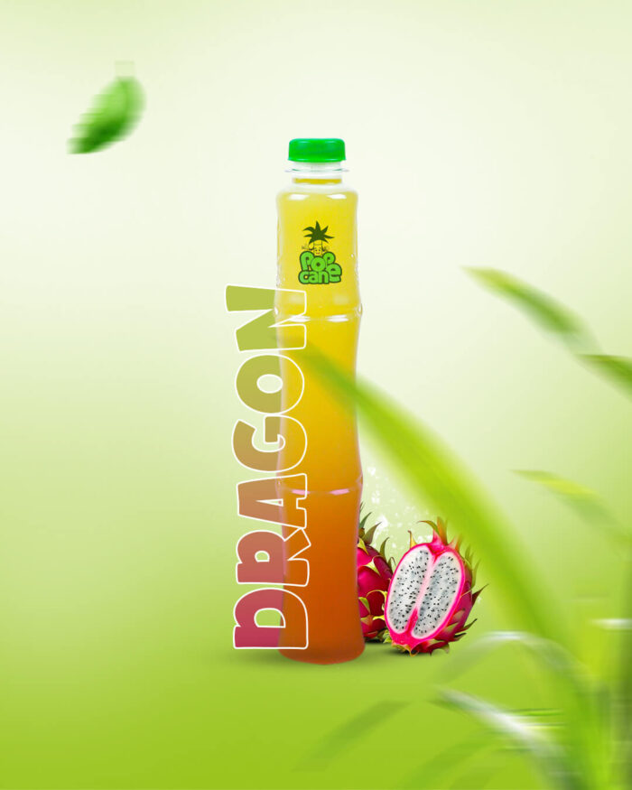 dragon[1]