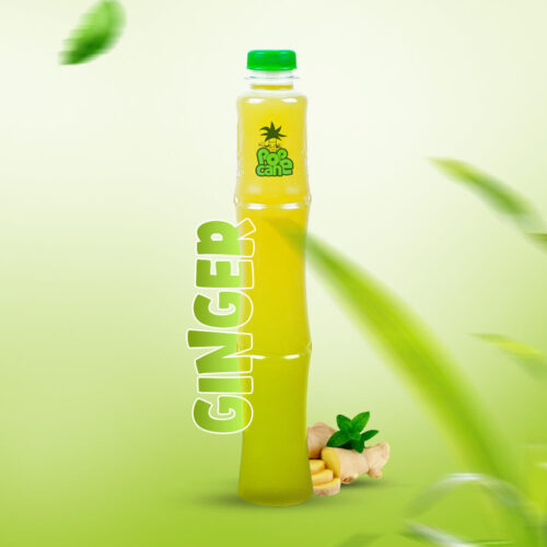 ginger[1]
