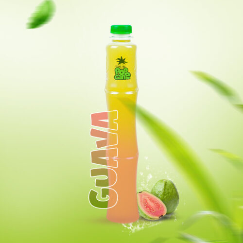 guava[1]