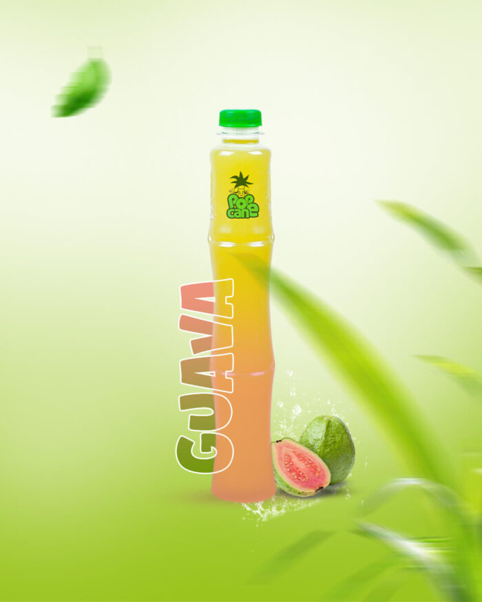 guava[1]