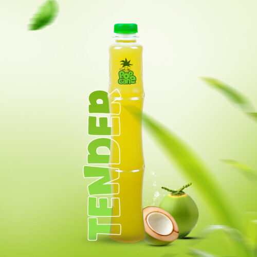 tender[1]